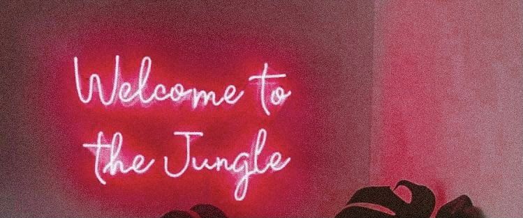 abigailroseuk banner