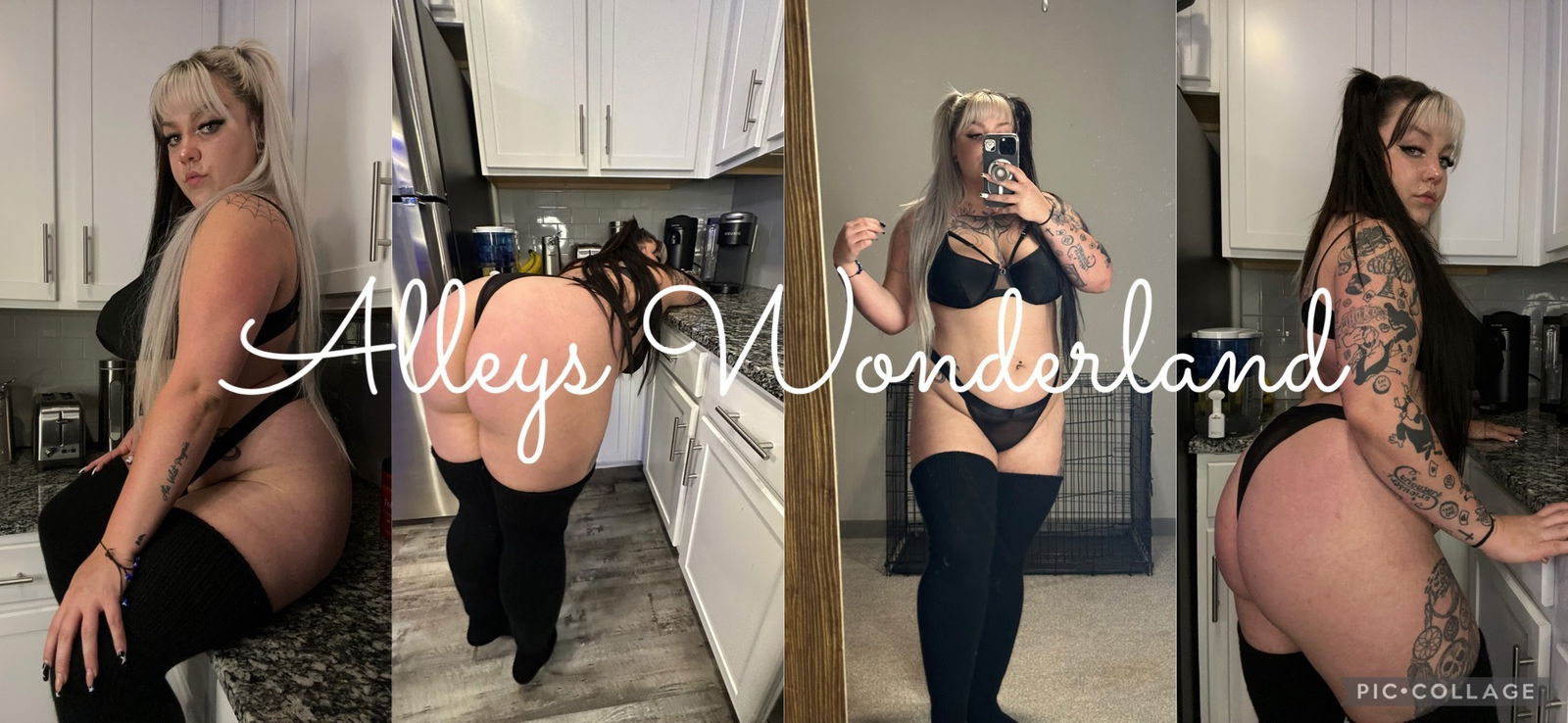 alleyswonderland banner