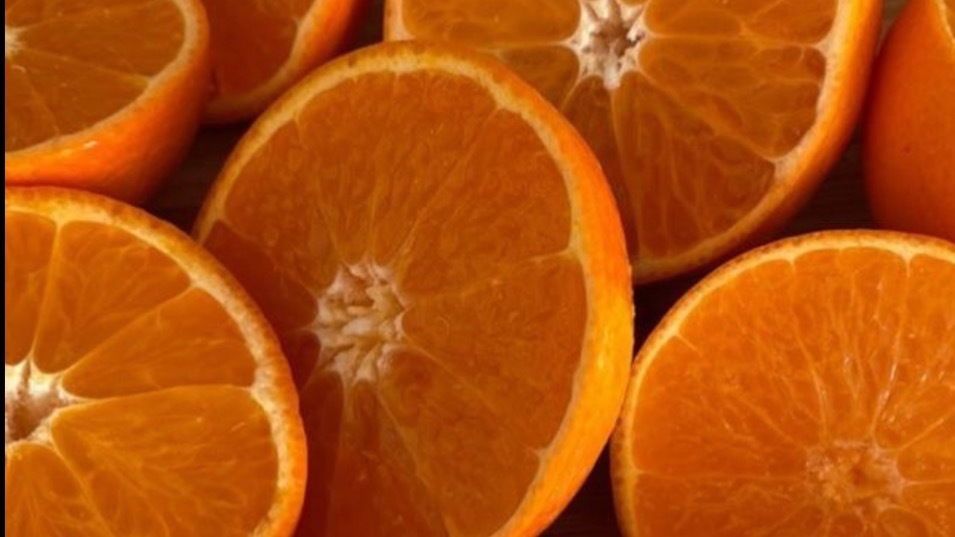 ambitious_pussy banner