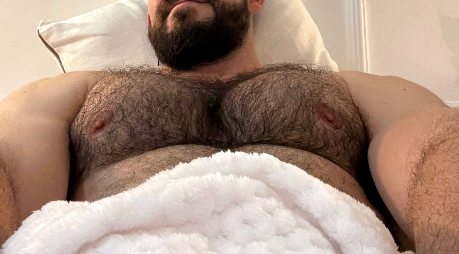 ardillagenocida banner