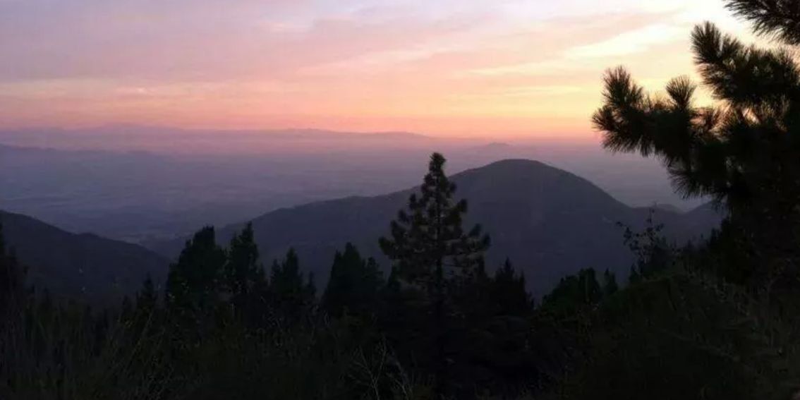 aurieleesummers banner