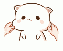 bigbootibella banner