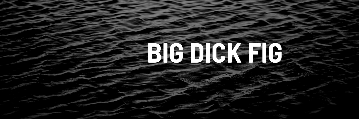 bigdickfig banner