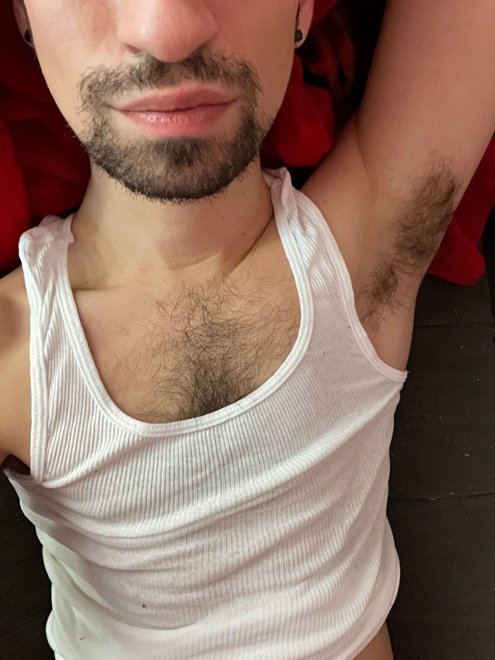 bigdyllpickle banner