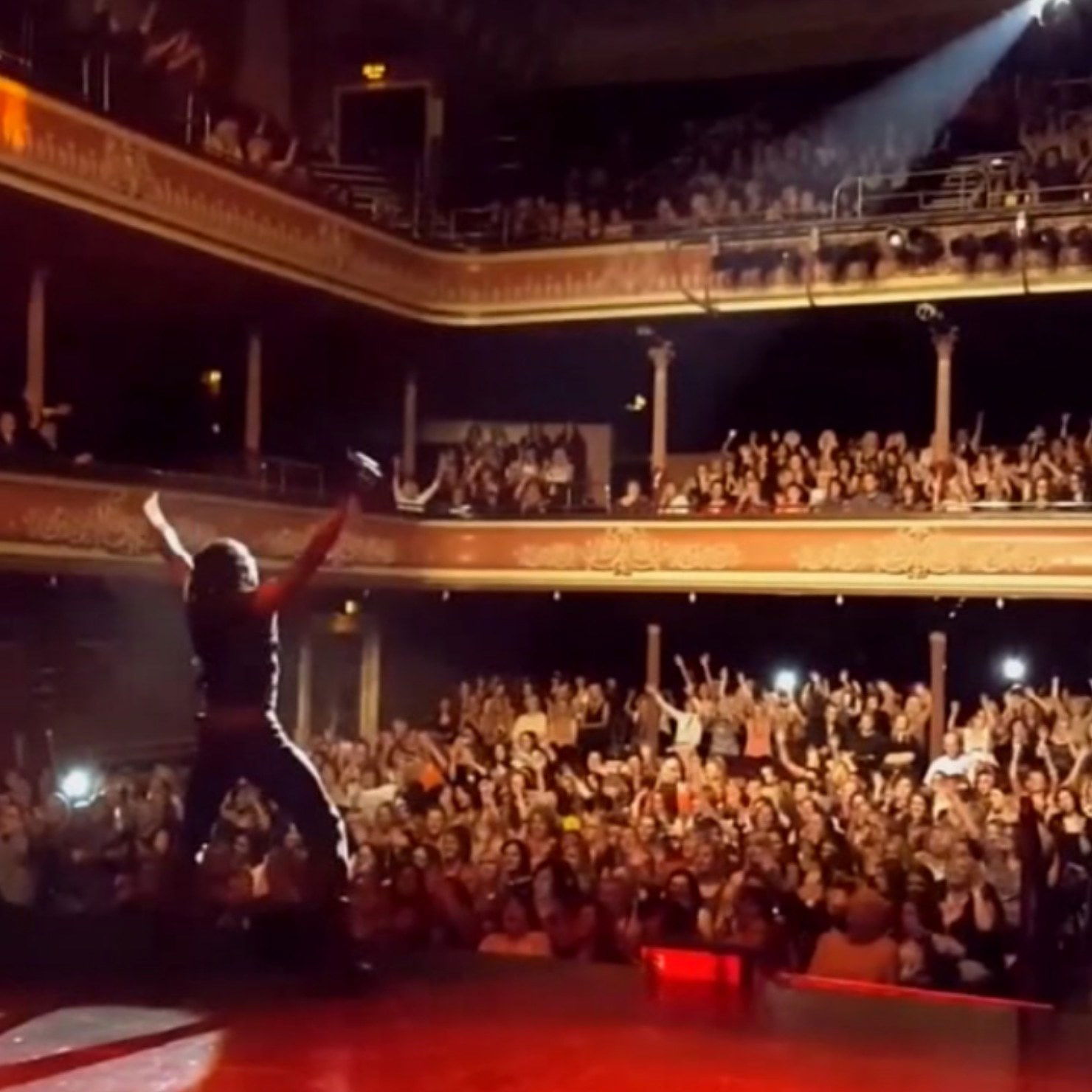 blackstallionfull banner