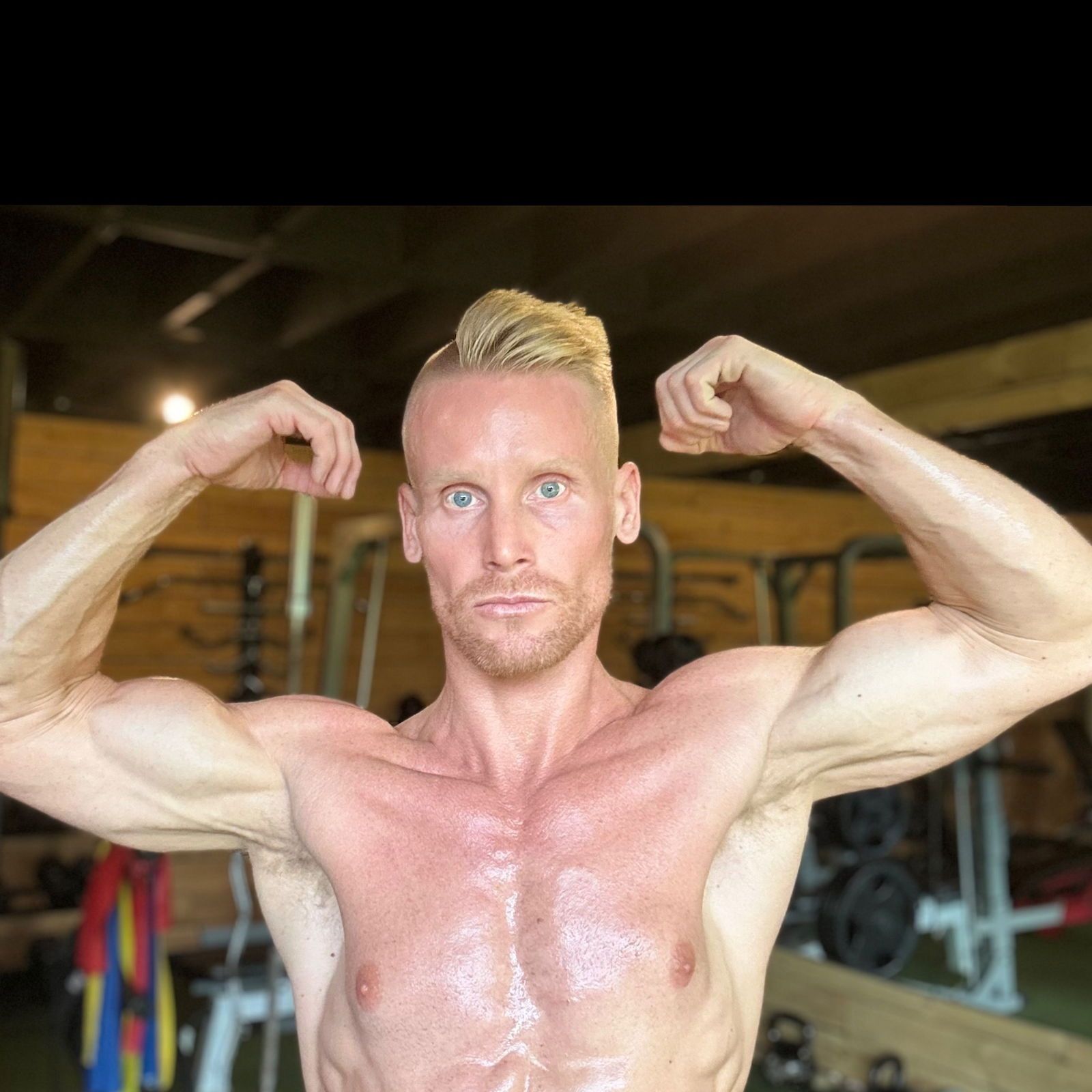 blondeandblew banner