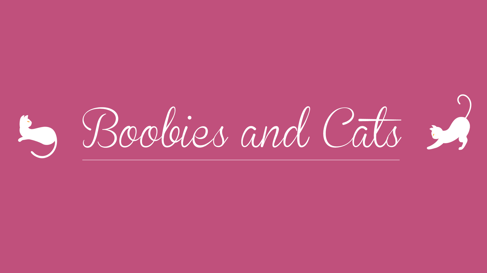 boobiesncats banner