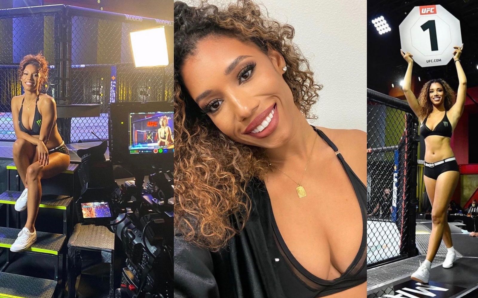 brookliynwren banner