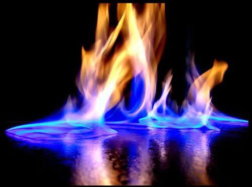 brunobalneario banner