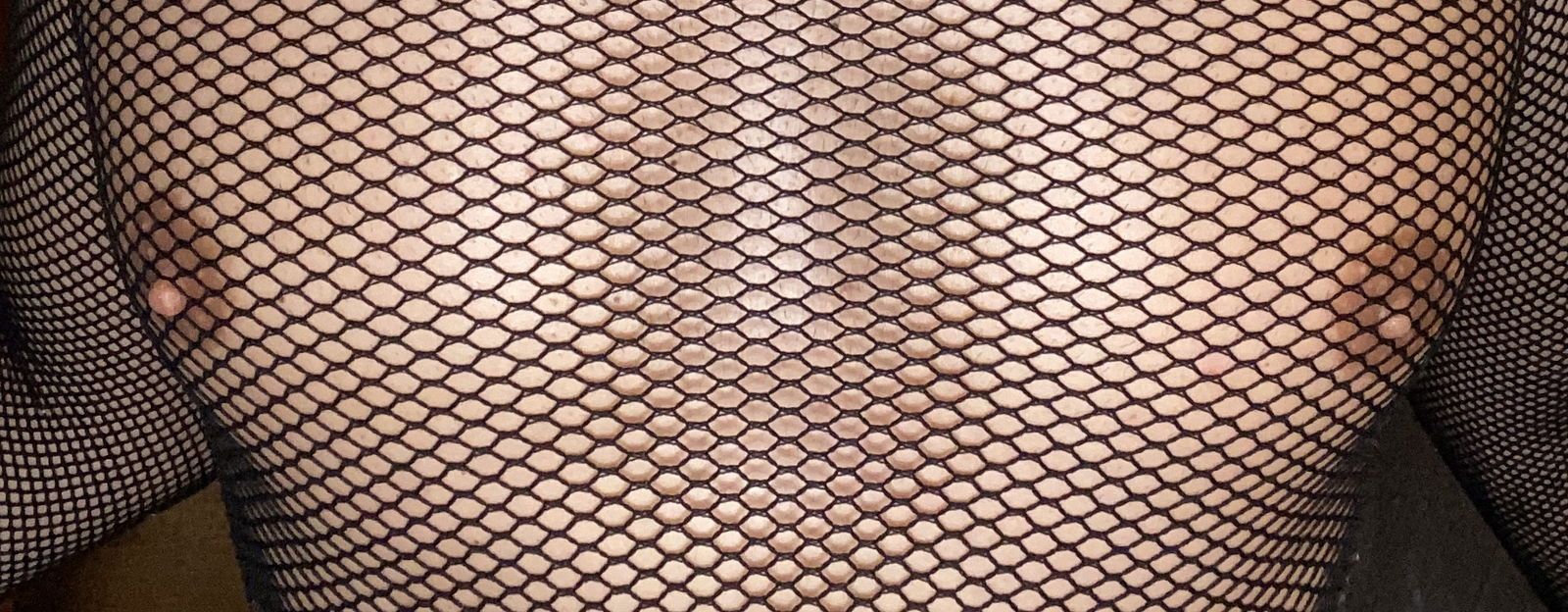 brunocartellax banner