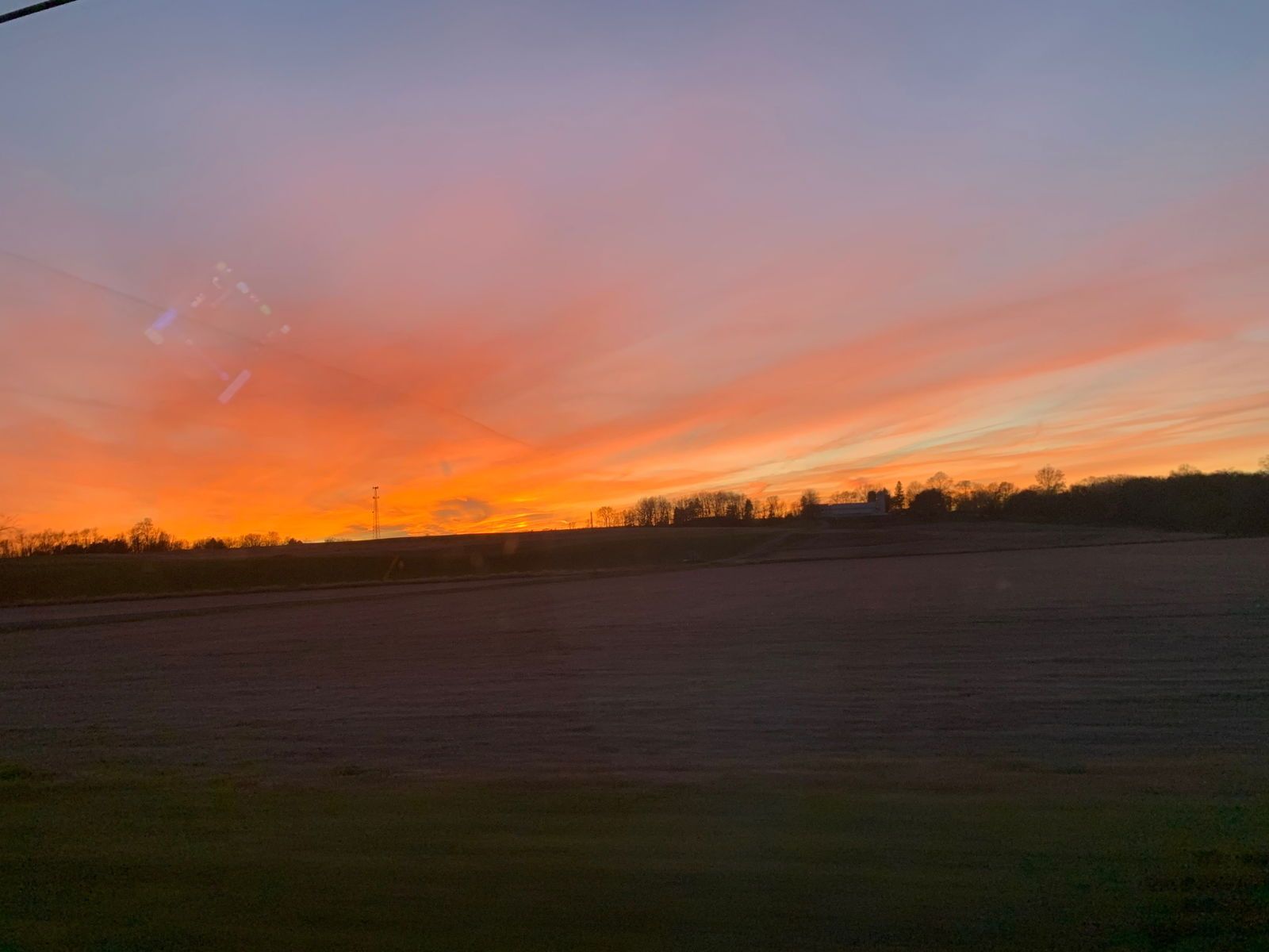 callmekitten1000 banner