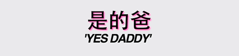 chinesevixen banner