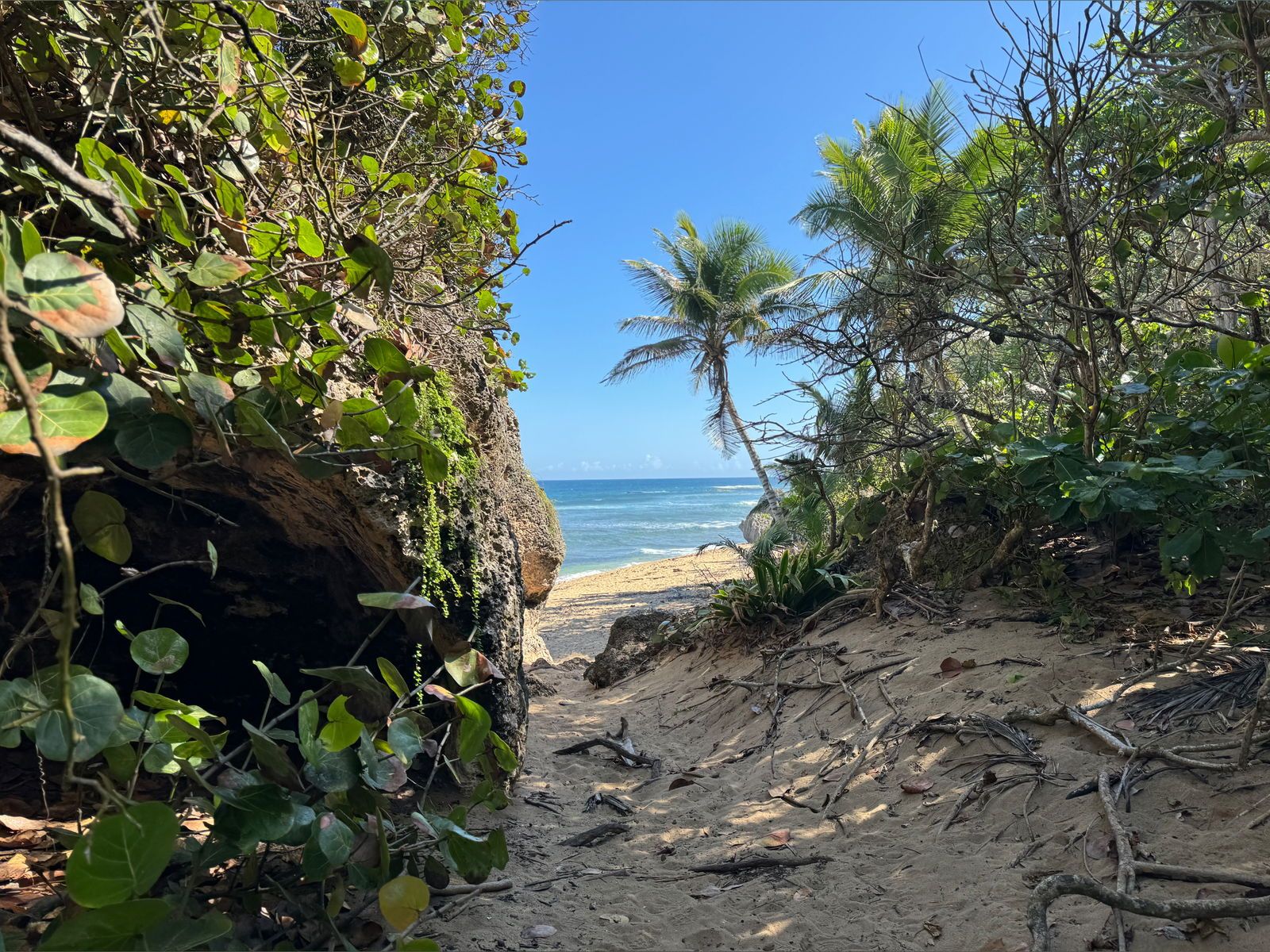 cityseducti0n banner