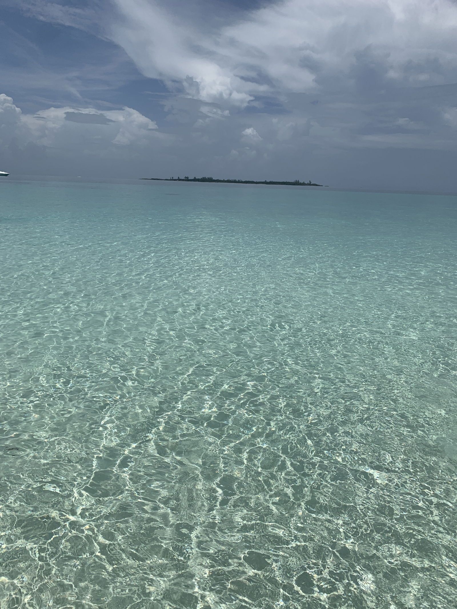 costaricanpapii banner