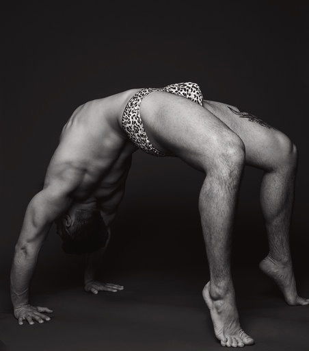 crixusalexander banner