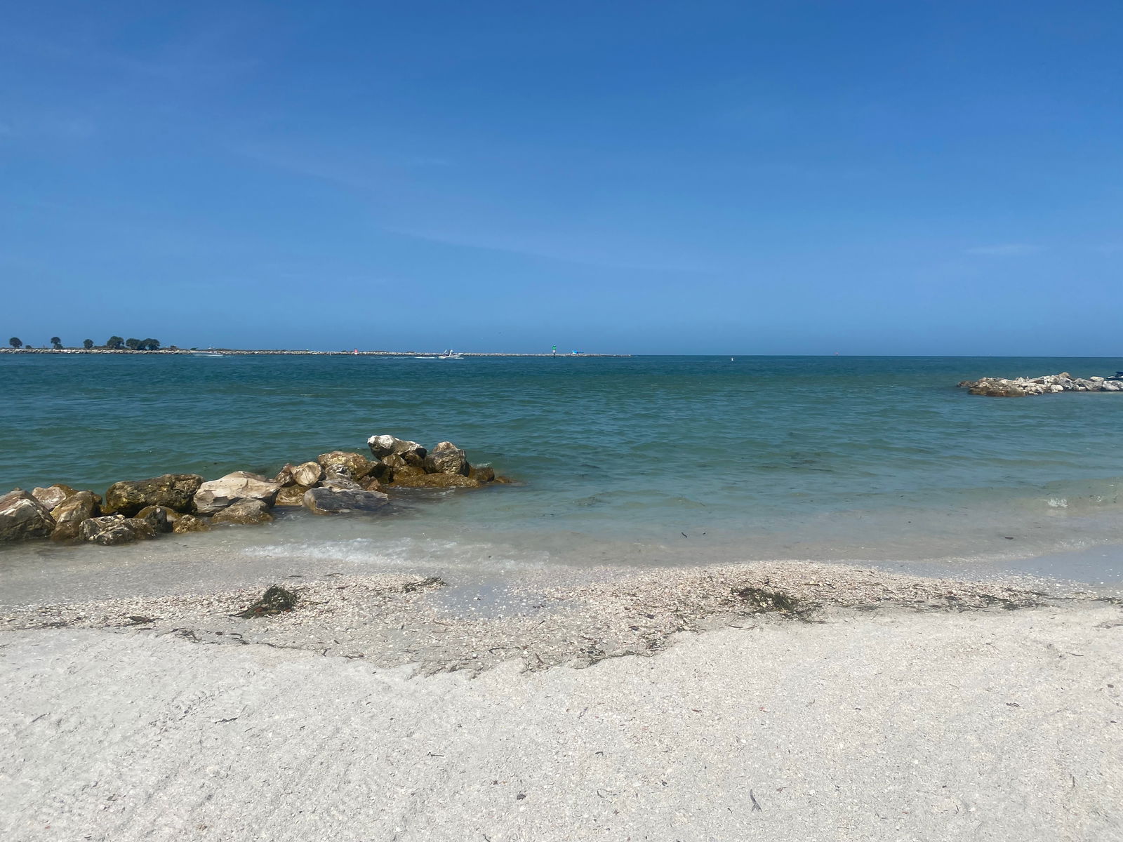 cuppycake2018 banner