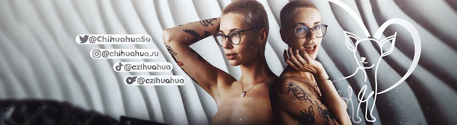 czihuahua banner