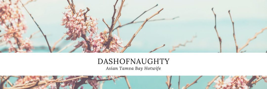 dashofnaughty banner