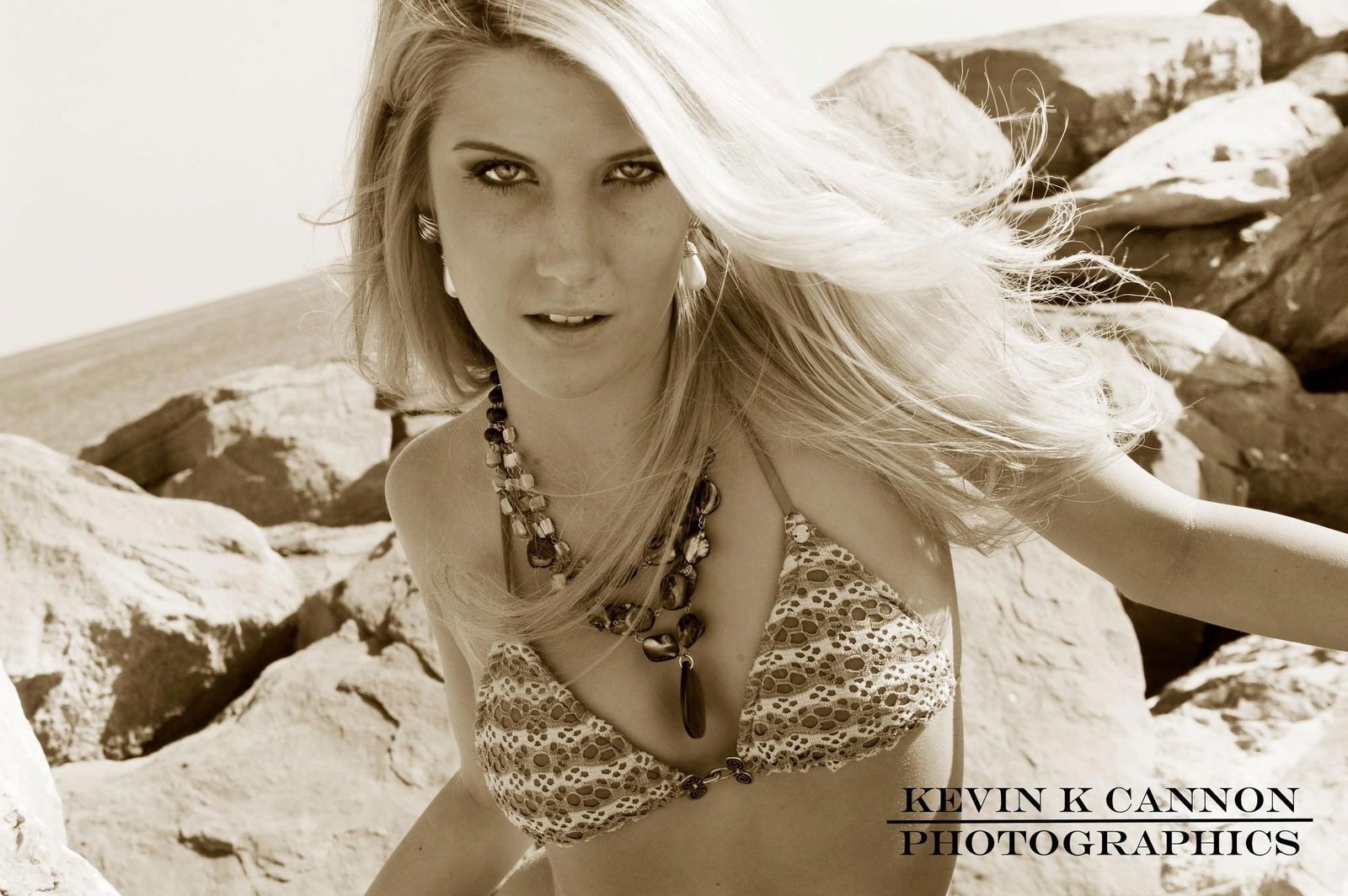 deannanaegele banner