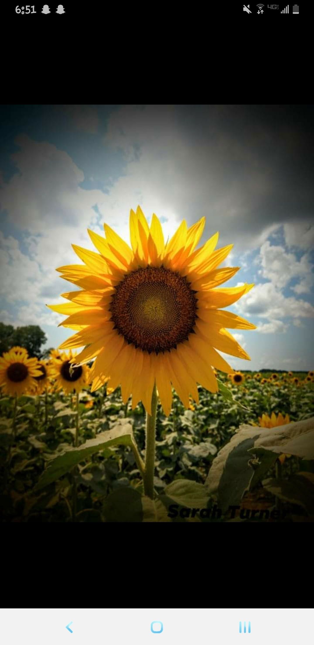 deliriumhopeful banner