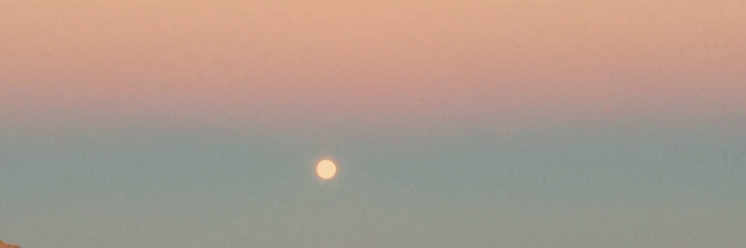 dreamyandpeachy banner