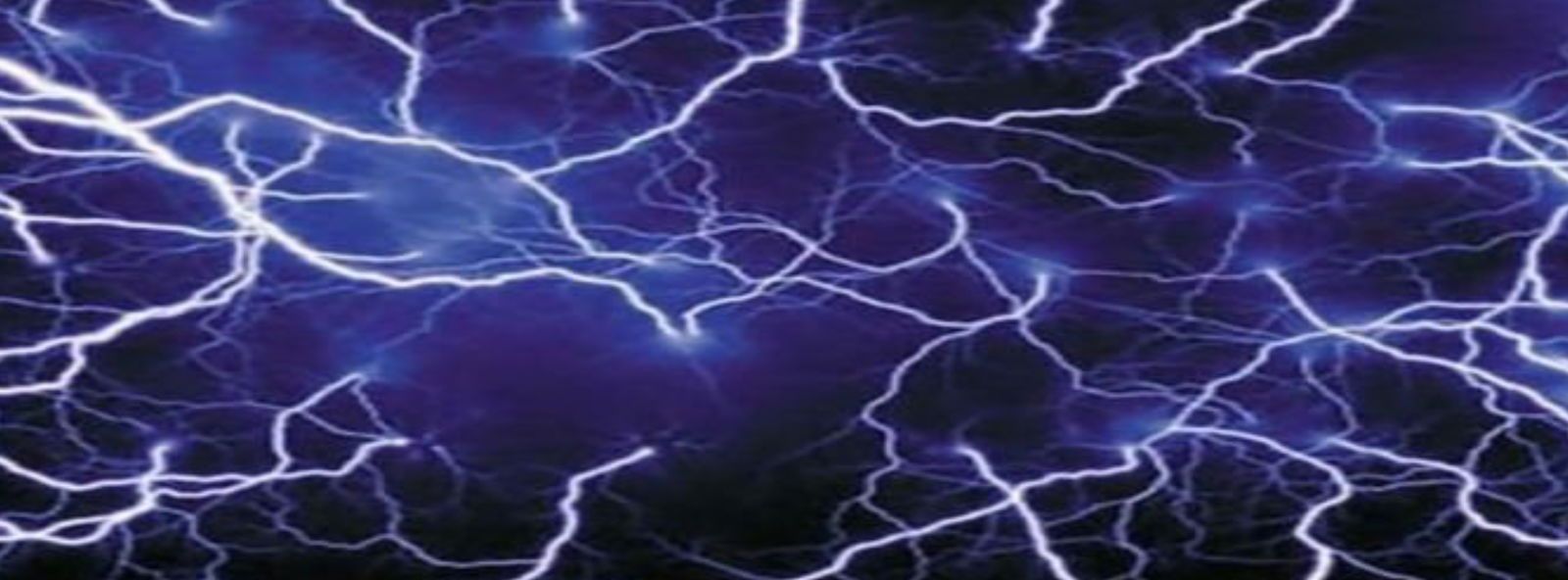 electricnikki banner