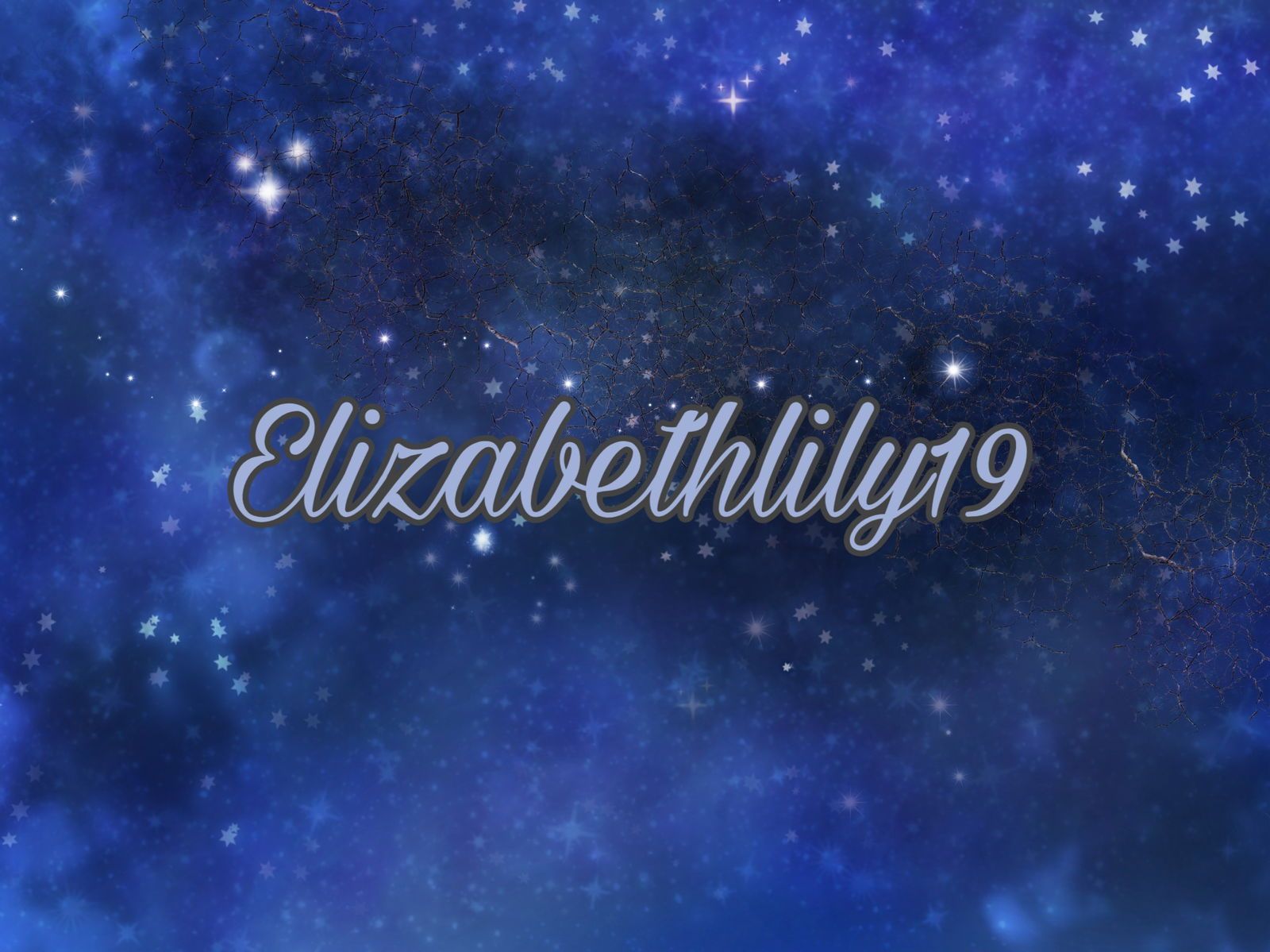 elizabethlily19 banner
