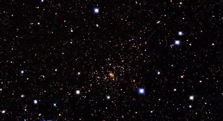 emily_mandevilla banner