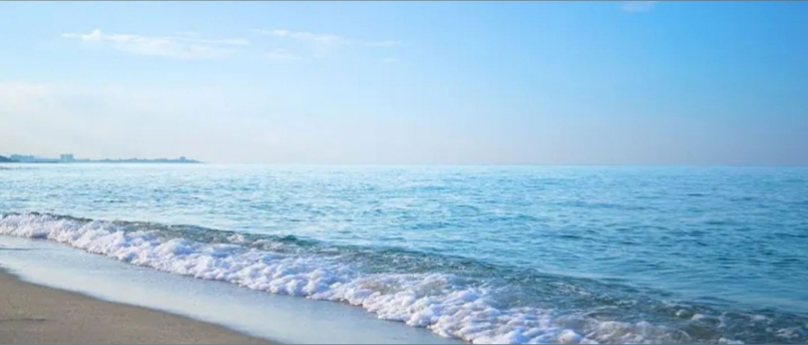 femalebodybuilder banner