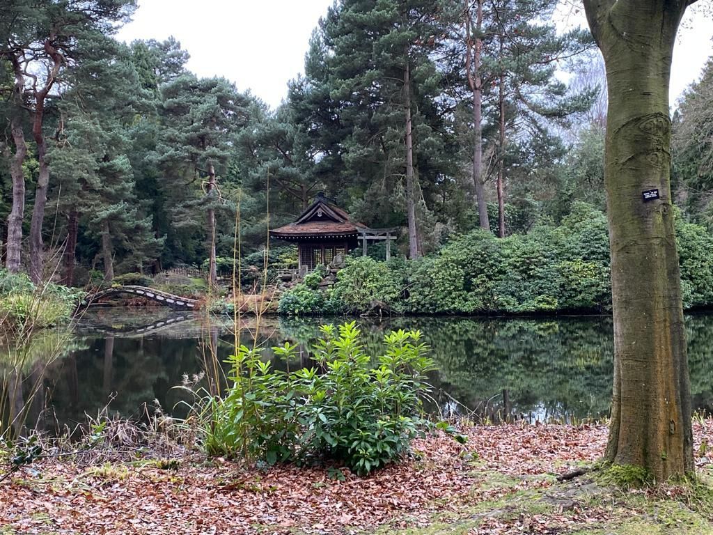 forest_green91 banner