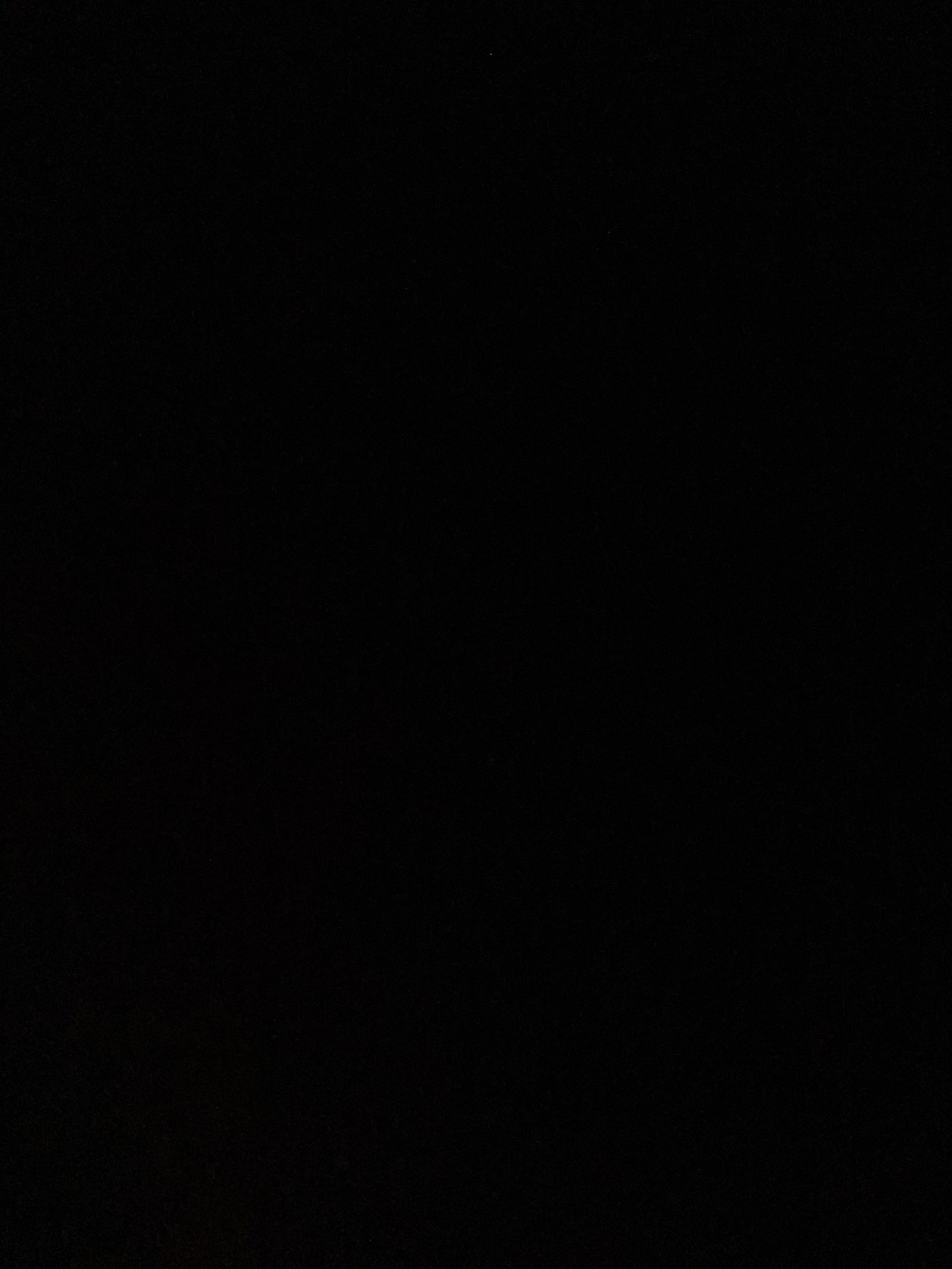 gayblondbear9 banner