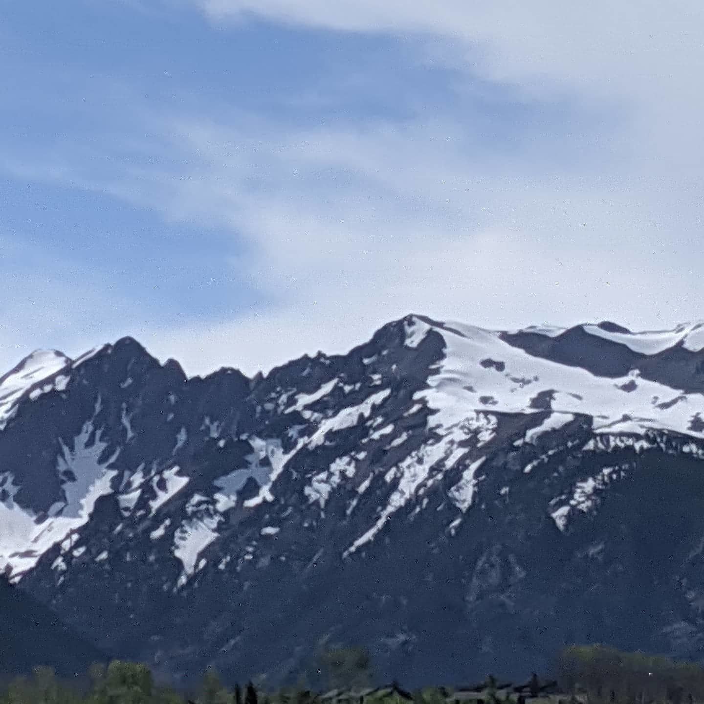 gingerwarrior1 banner