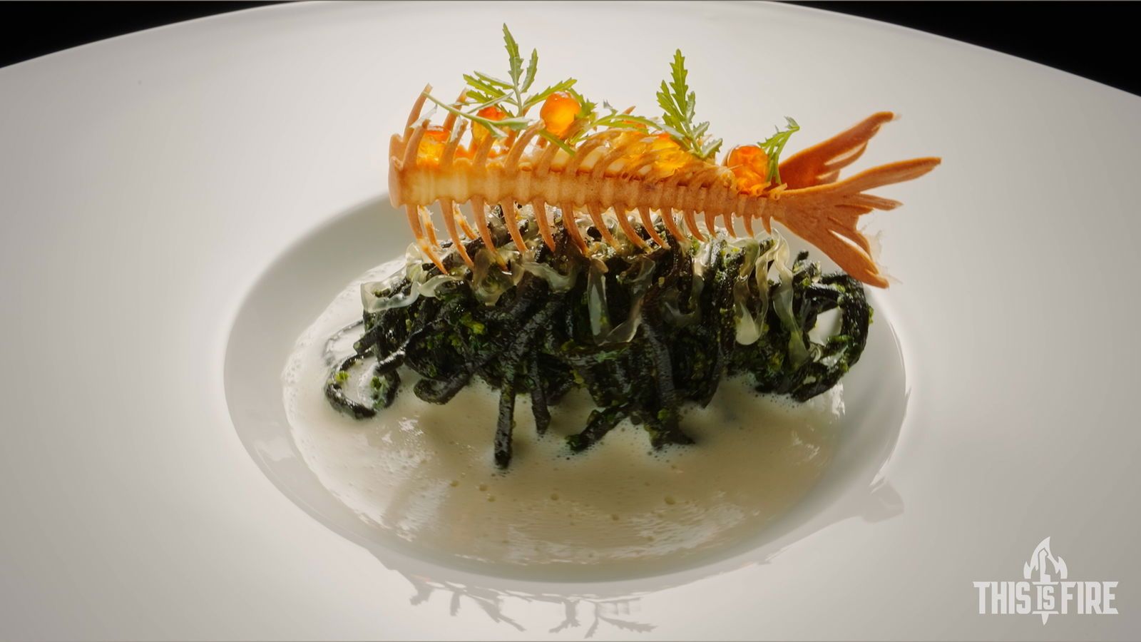 grandmasterchefjojo banner