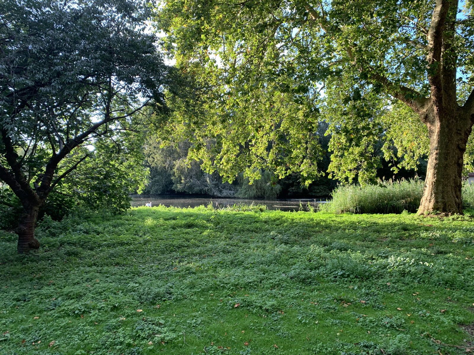 griffinbarrows banner