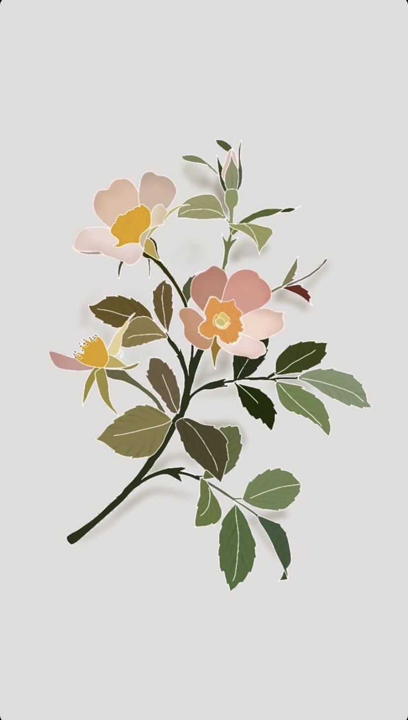 helenamaximoff banner