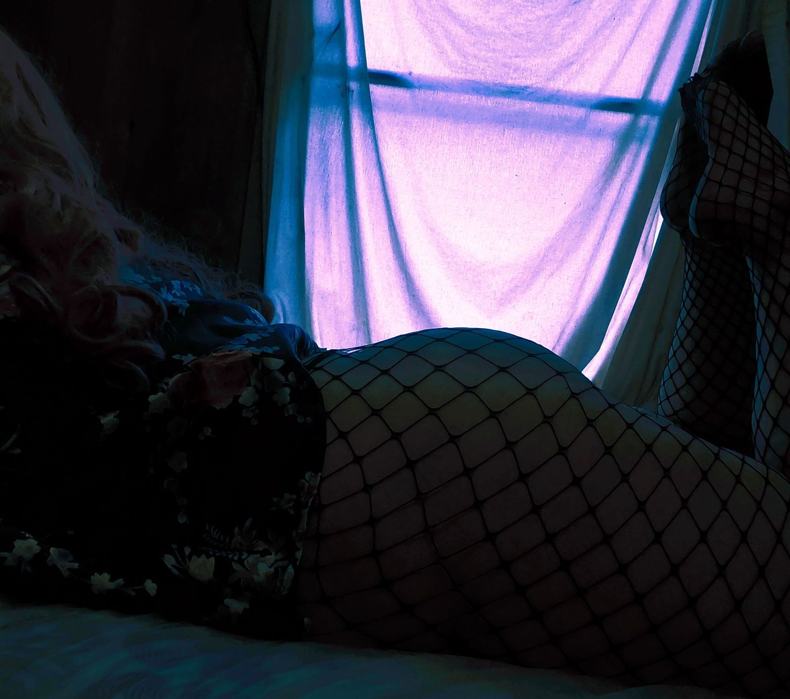 hotkittykittycat banner