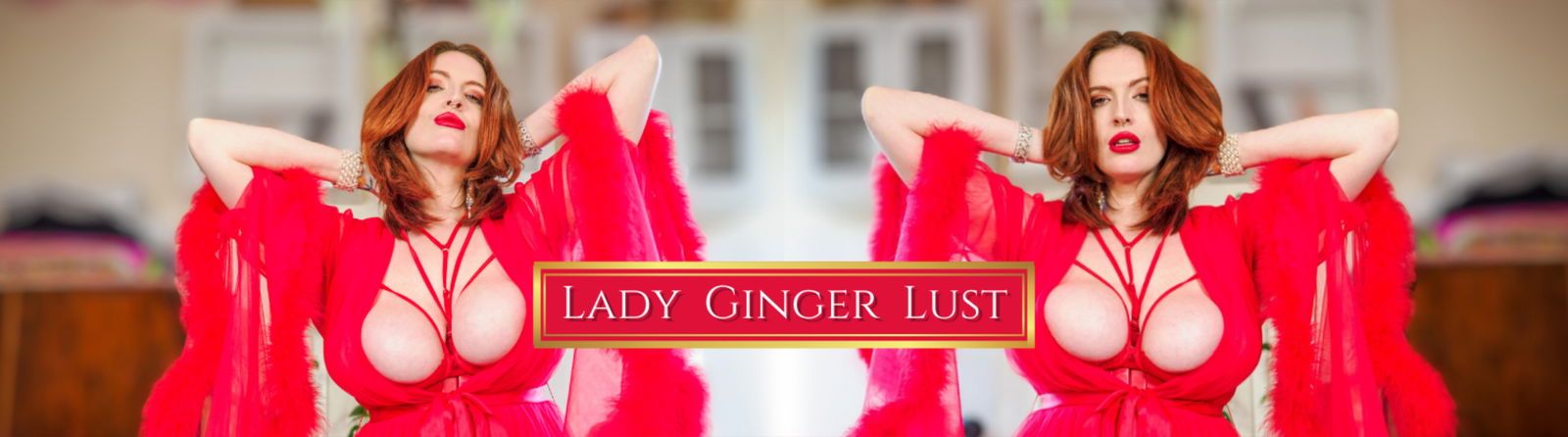 ladygingerlust banner