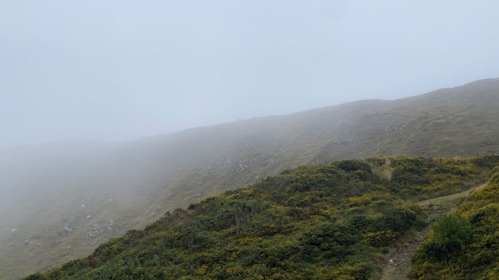 littleredchick.xxx banner