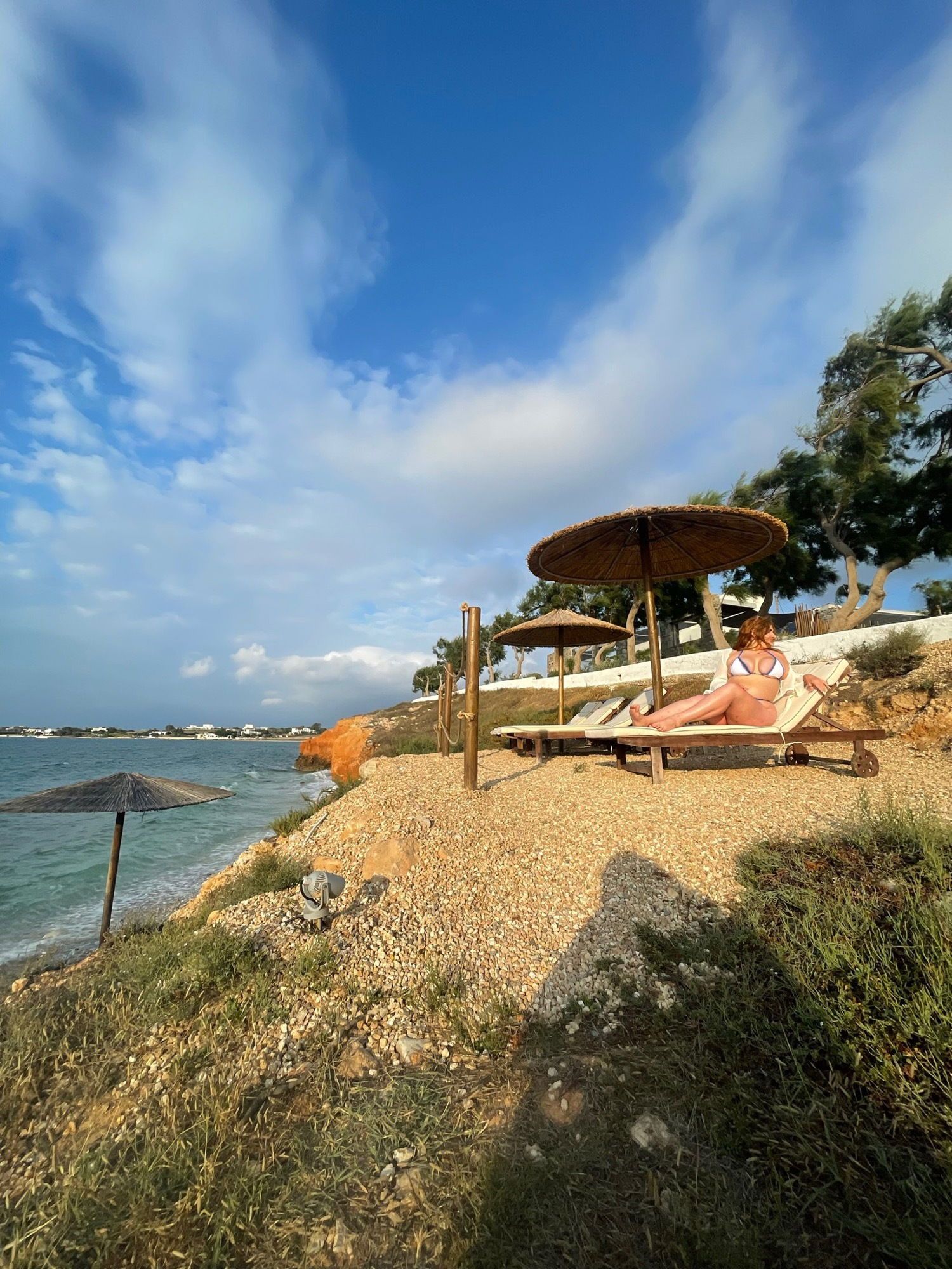 littleredridinghoe banner