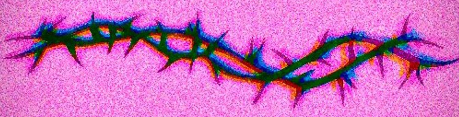 marizombie666 banner