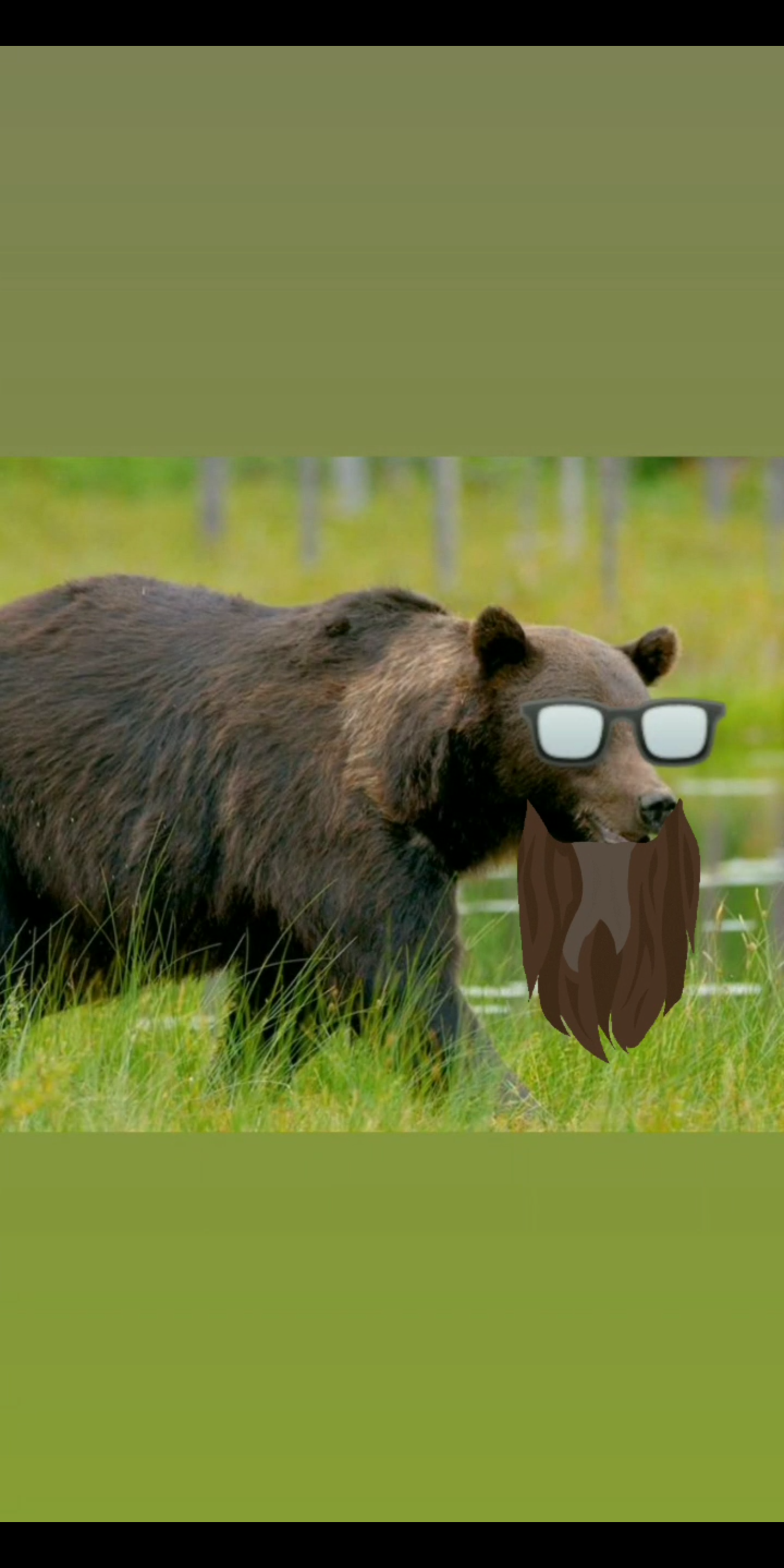 marksinclairofficial banner