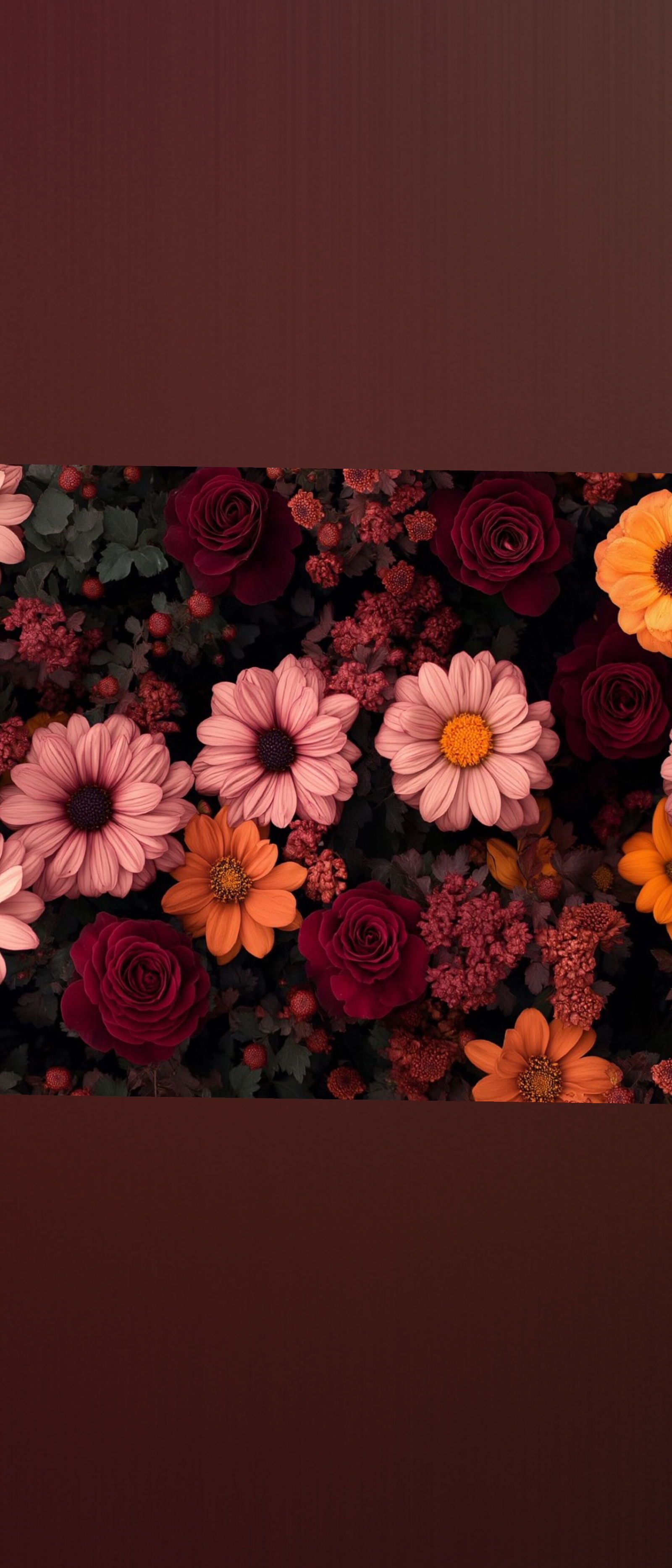 maryjan3clouds banner