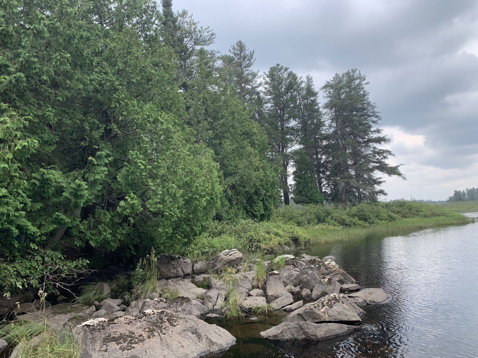 mattnorth_free banner