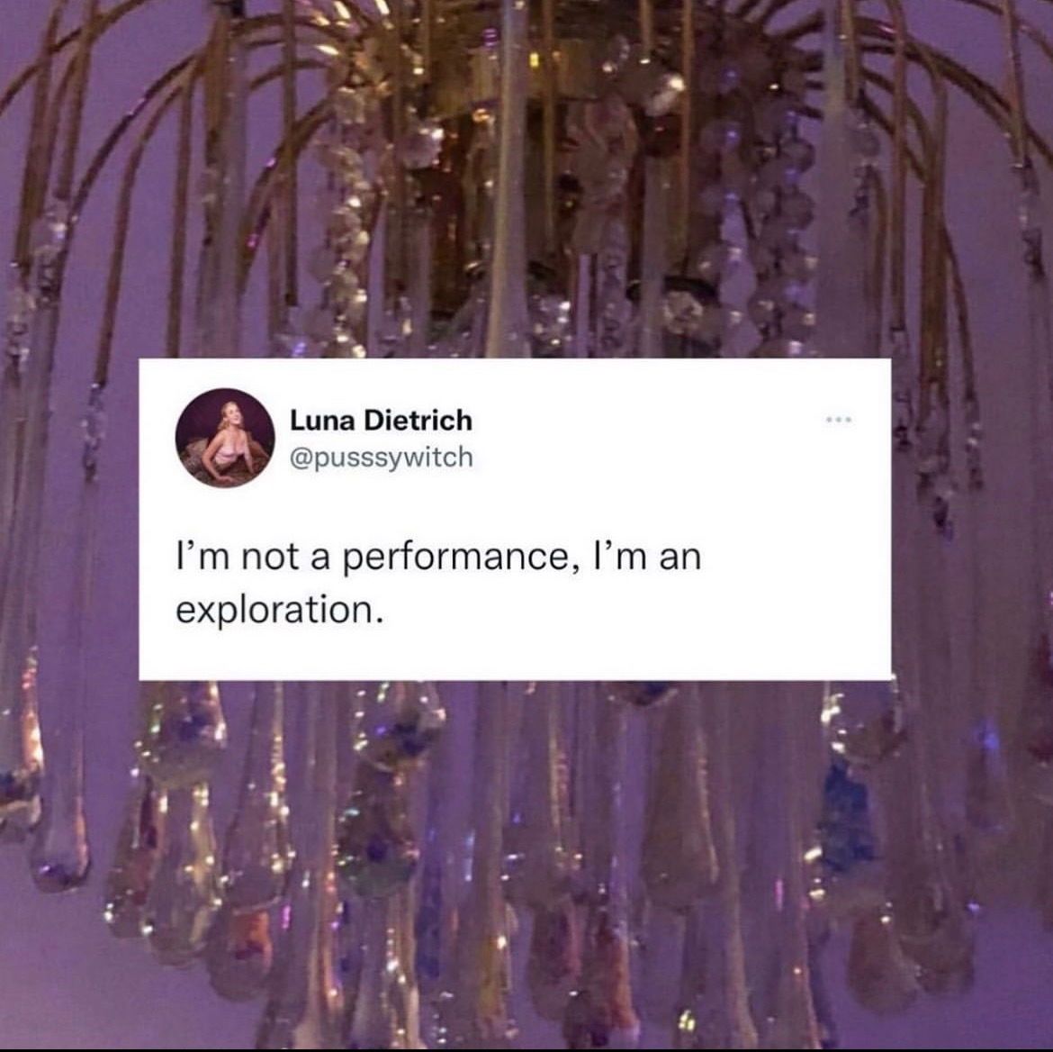 meauxtheemuse69 banner