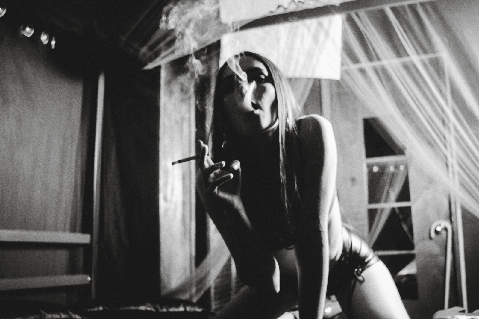 missaliceshadow banner