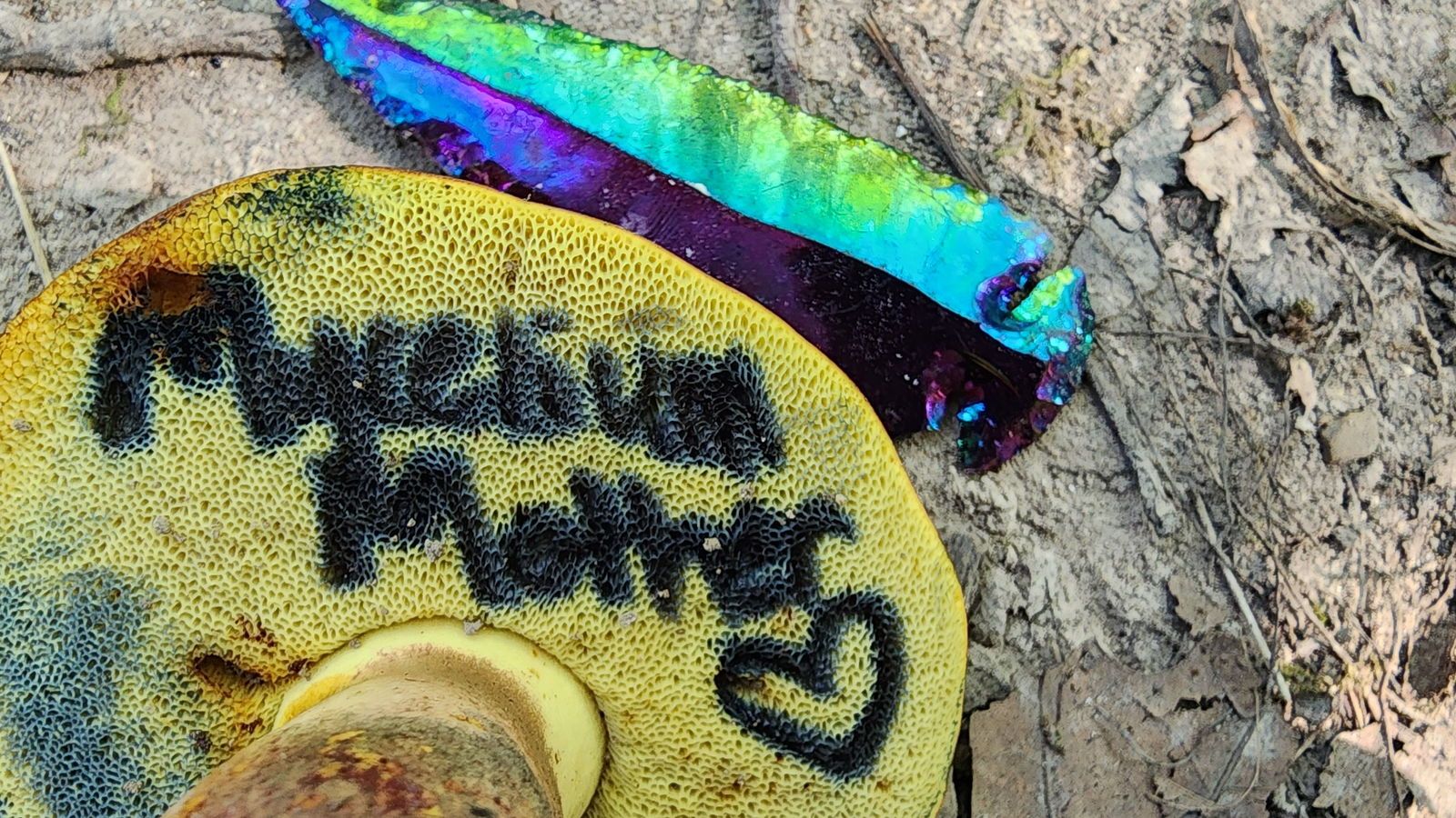 mycelium_mother banner