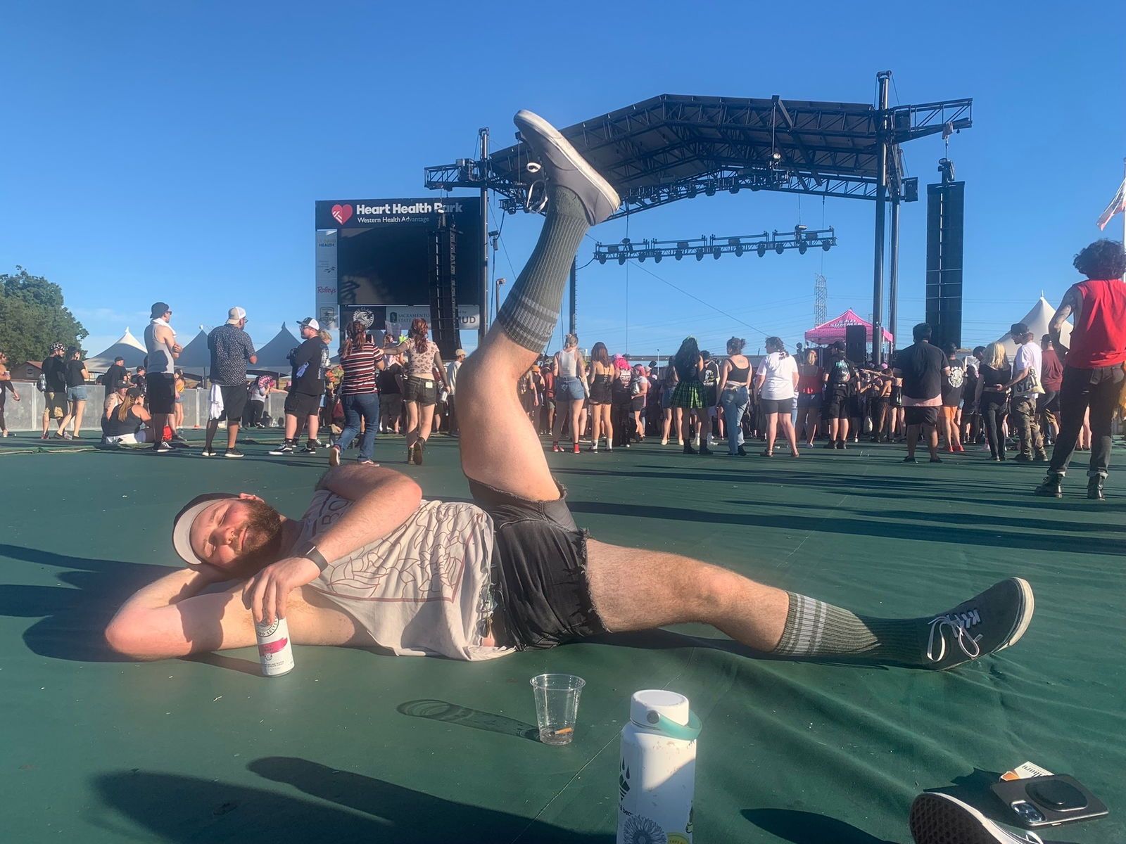 nonviolentbear banner