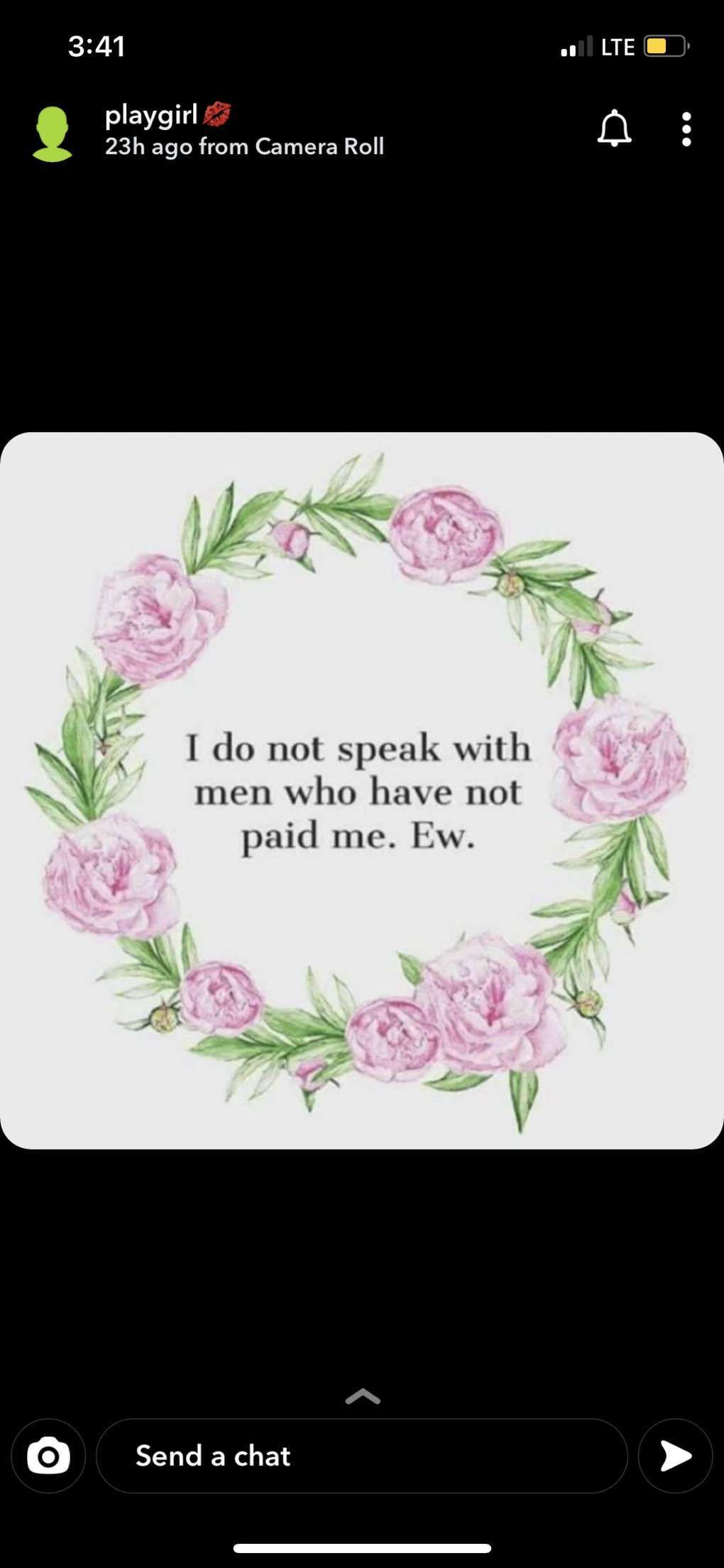 novaleebigbooty banner