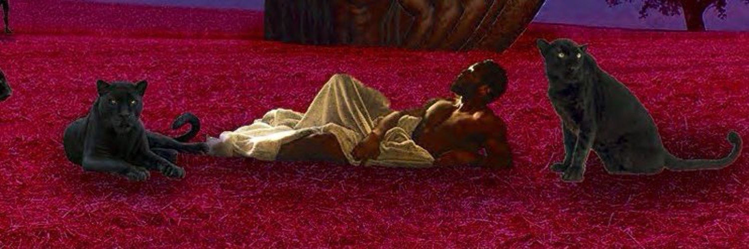 obsidian-panther banner