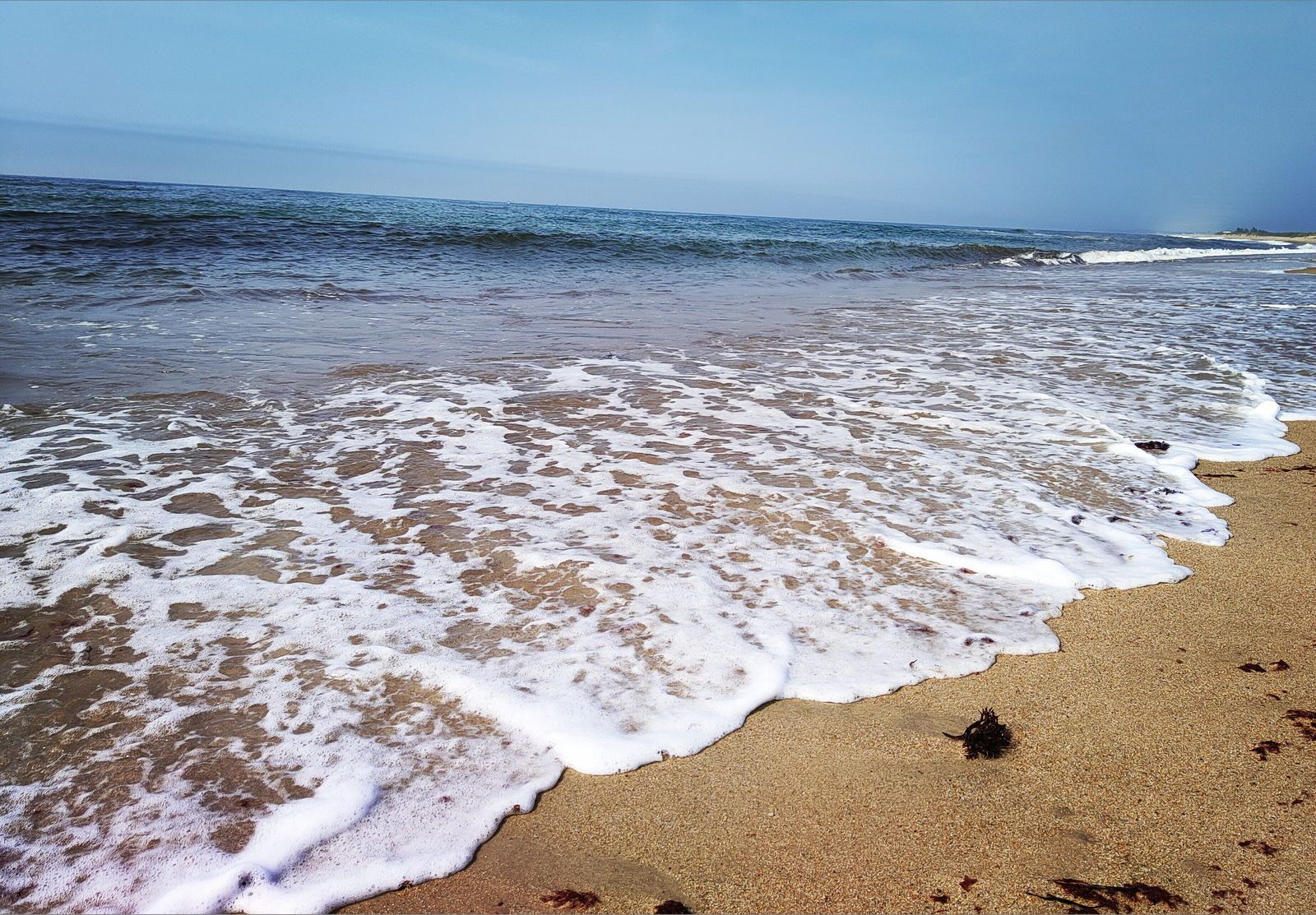 originalsaltybeach banner